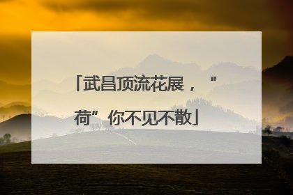 武昌顶流花展，“荷”你不见不散
